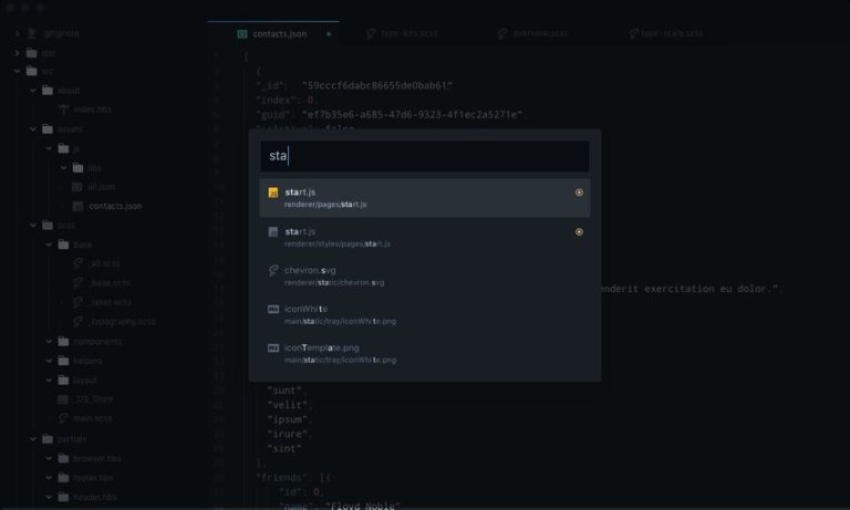 The 10 Best Atom Themes for a Unique Developer Experience - Developer Drive
